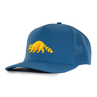 Signature hat