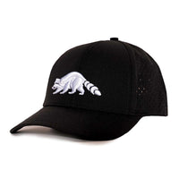 Low Pro hat