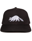 Black Raccoon Signature Waterproof Hat