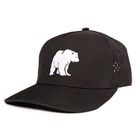 Low Pro hat