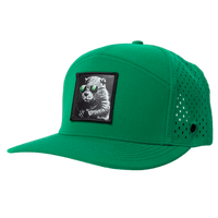 Low Pro hat