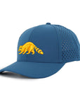 Atlantic Blue Raccoon Low Pro Waterproof Hat