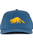 Atlantic Blue Raccoon Signature Waterproof Hat