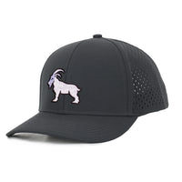 Low Pro hat