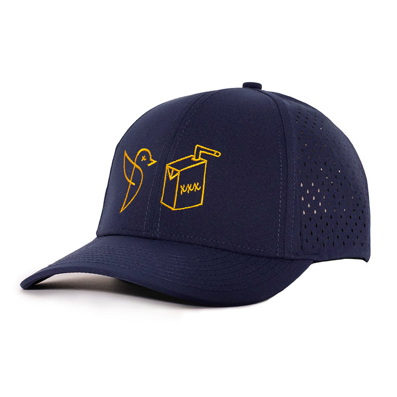 Low Pro Hats
